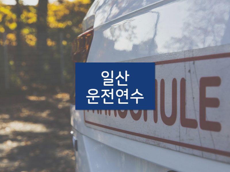 일산운전연수 후기