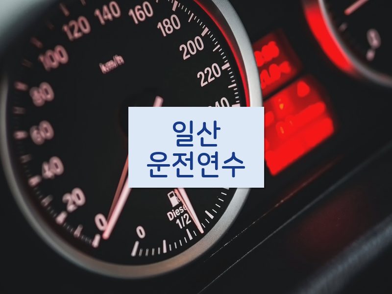 일산운전연수 후기