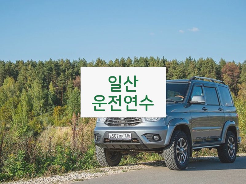 일산운전연수 후기