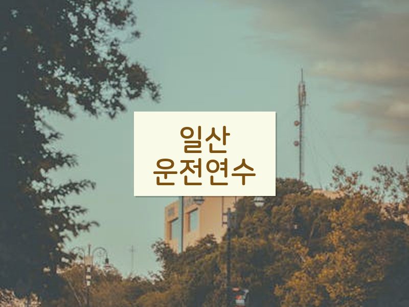 일산운전연수 후기