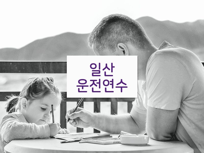 일산운전연수 후기