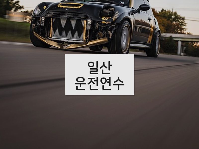 일산운전연수 후기