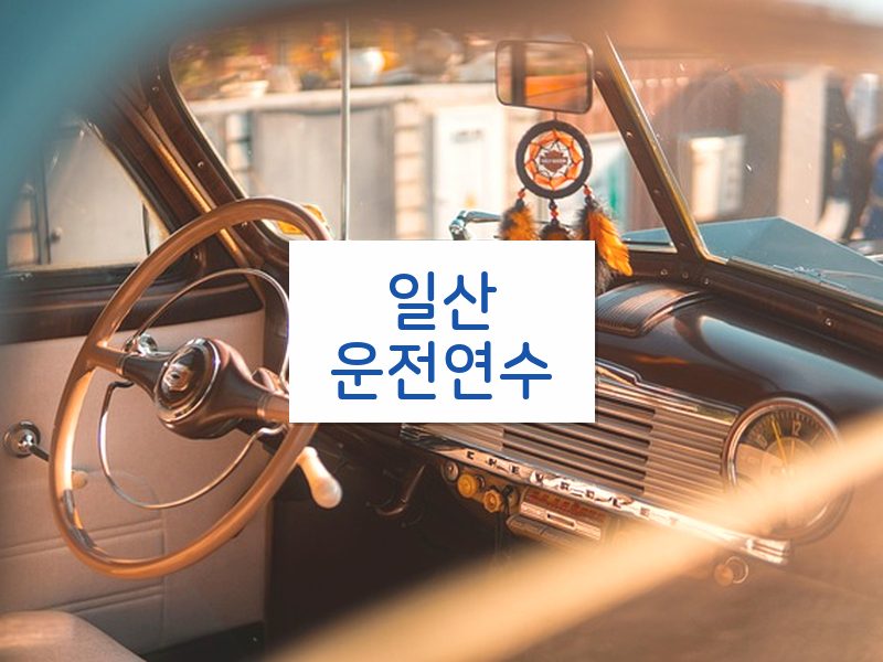 일산운전연수 후기