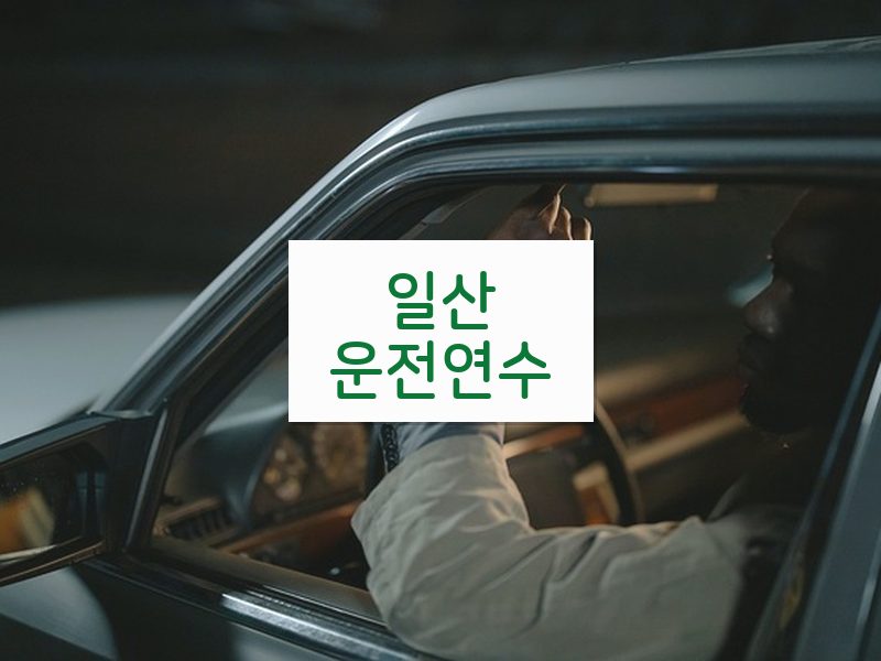 일산운전연수 후기