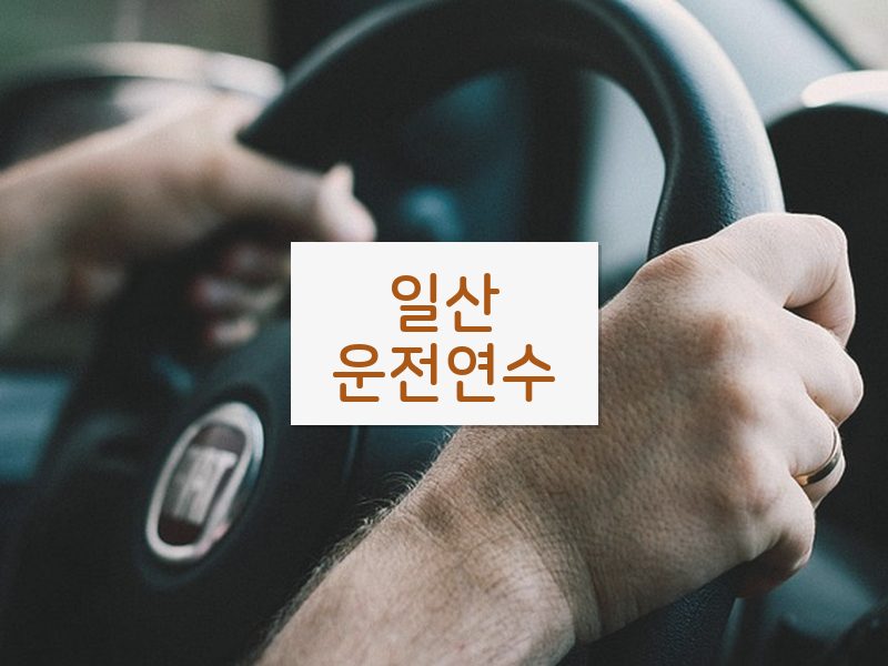 일산운전연수 후기