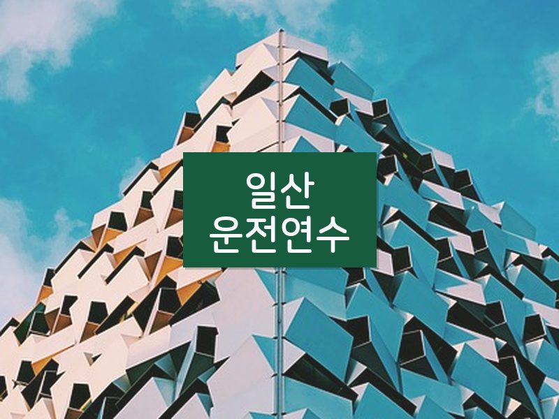 일산운전연수 후기