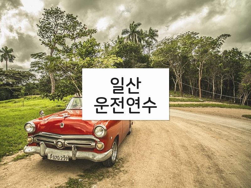 일산운전연수 후기