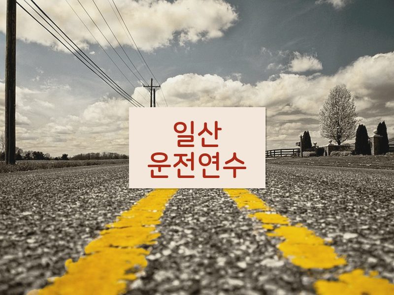 일산운전연수 후기