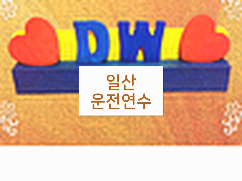 일산운전연수 후기