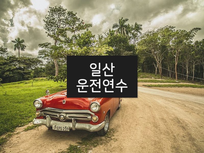 일산운전연수 후기