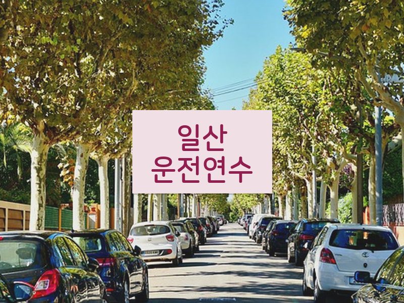 일산운전연수 후기