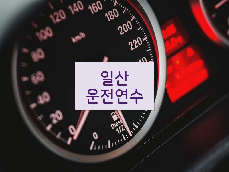 일산운전연수 후기