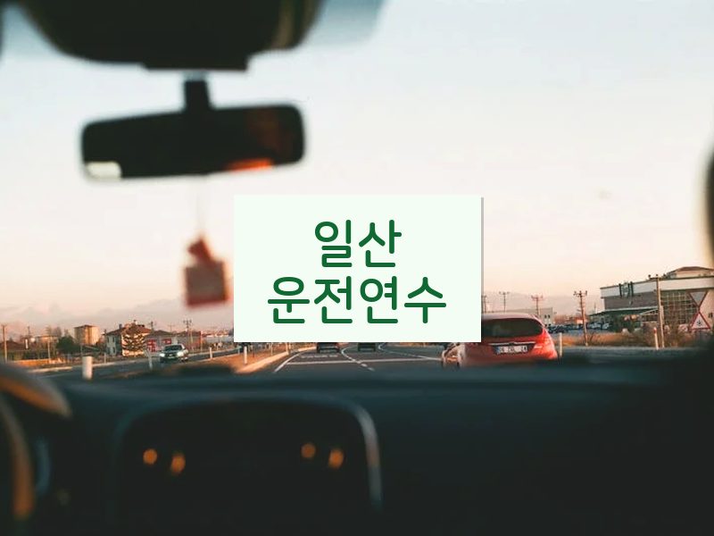 일산운전연수 후기