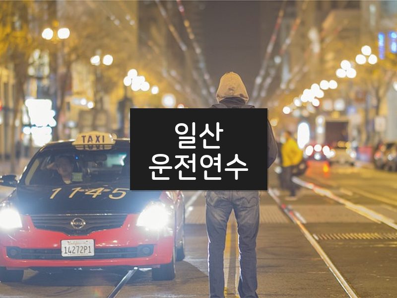 일산운전연수 후기