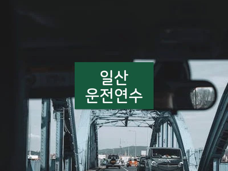 일산운전연수 후기