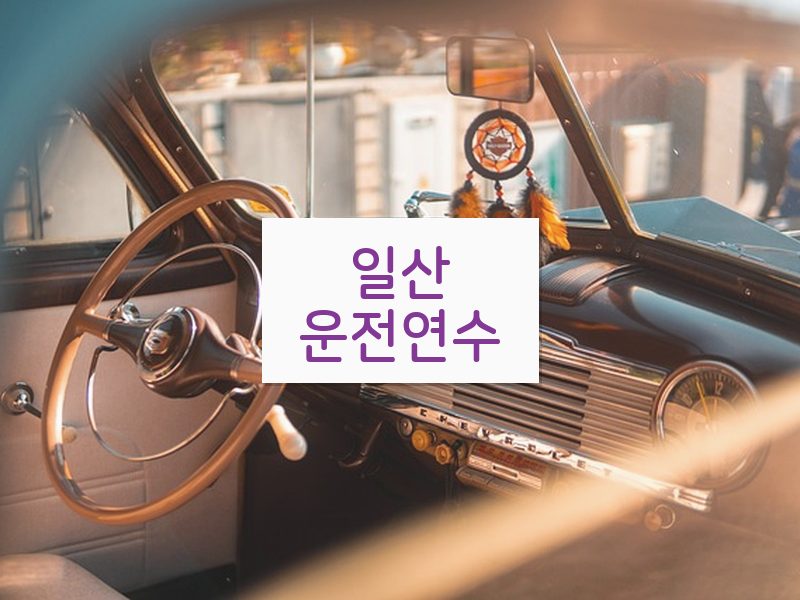 일산운전연수 후기