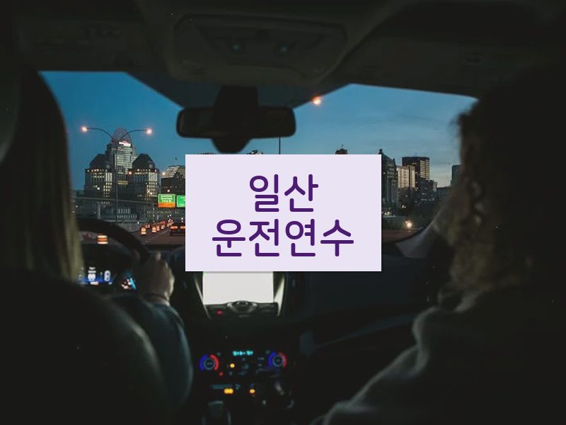 일산운전연수 후기