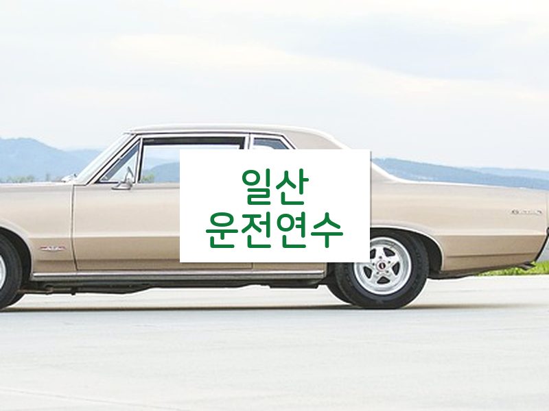 일산운전연수 후기