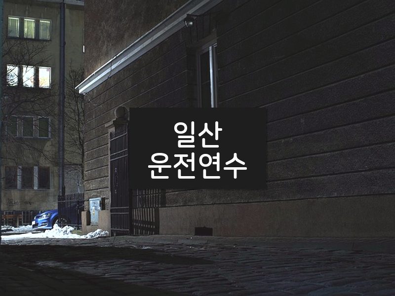 일산운전연수 후기