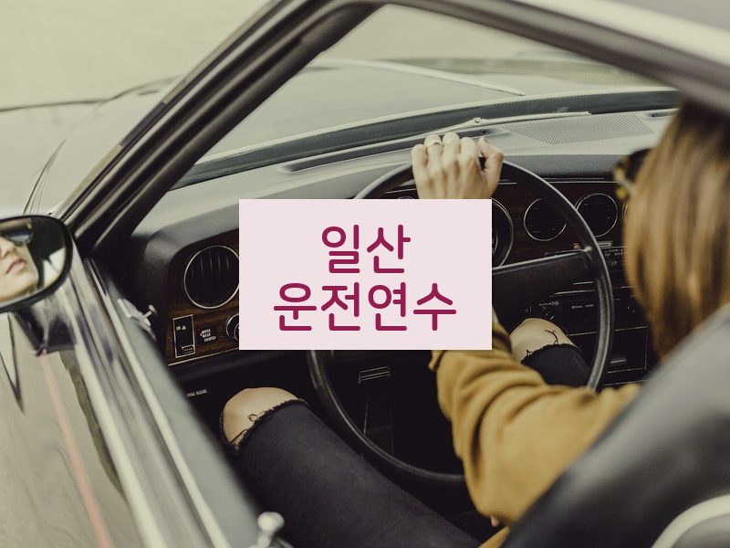 일산운전연수 후기