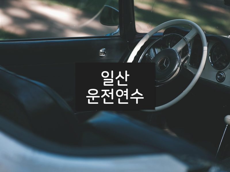 일산운전연수 후기