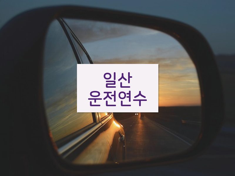 일산운전연수 후기