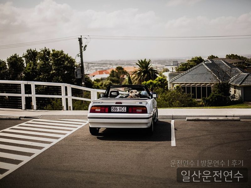 일산운전연수 후기