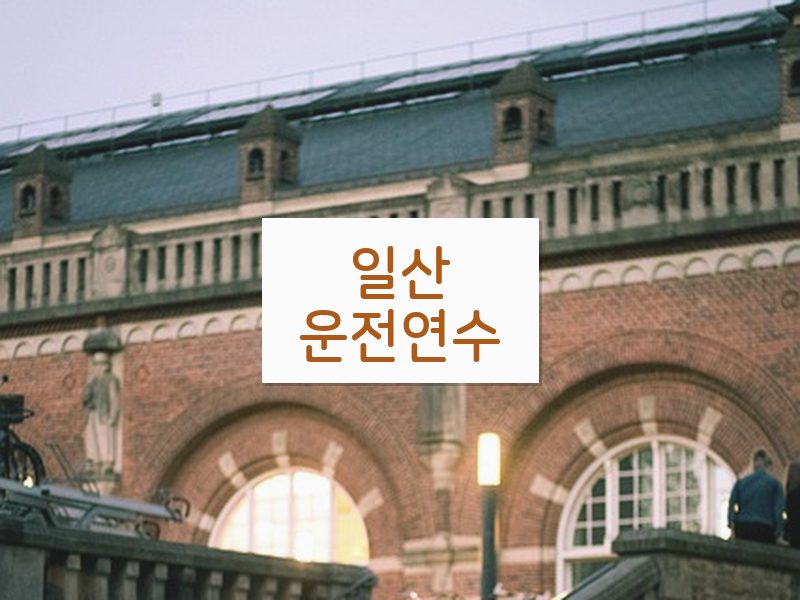 일산운전연수 후기