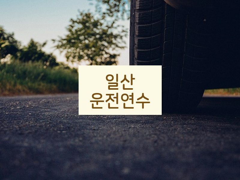 일산운전연수 후기