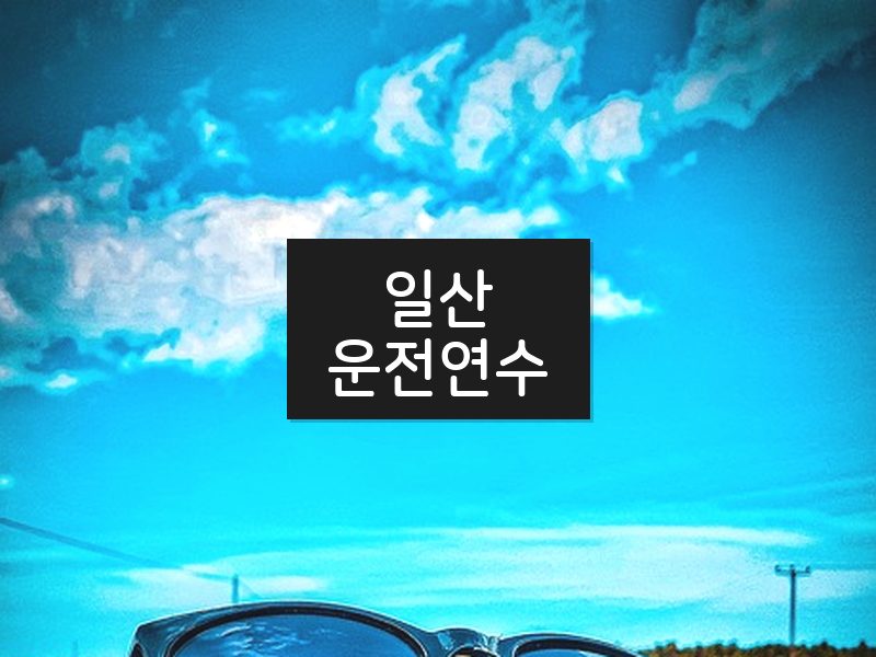 일산운전연수 후기