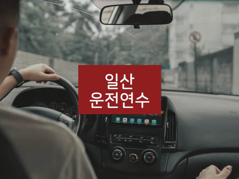 일산운전연수 후기