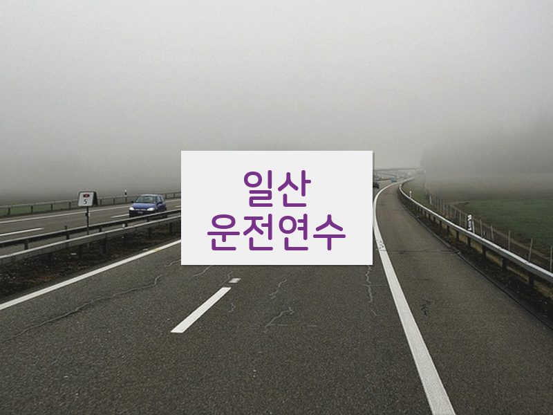 일산운전연수 후기