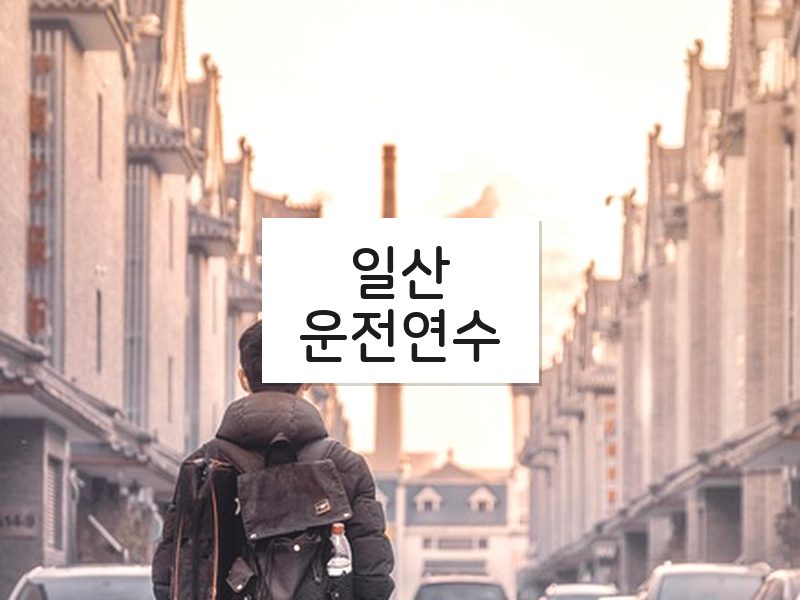 일산운전연수 후기