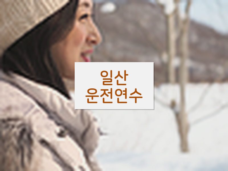 일산운전연수 후기