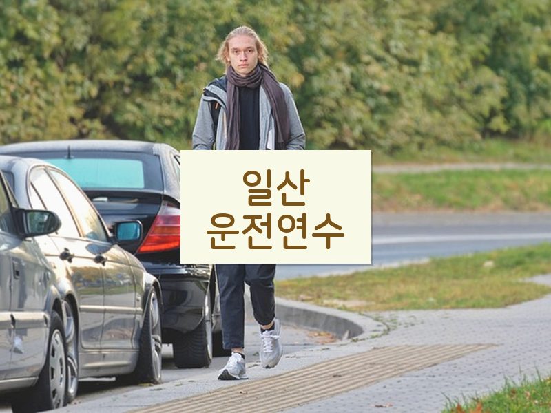 일산운전연수 후기