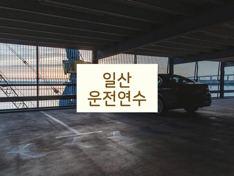 일산운전연수 후기