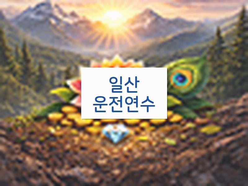 일산운전연수 후기