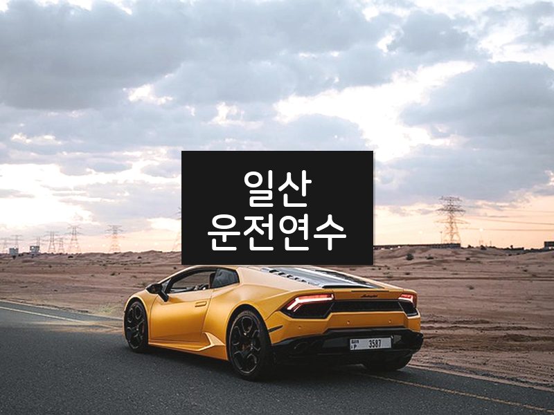 일산운전연수 후기