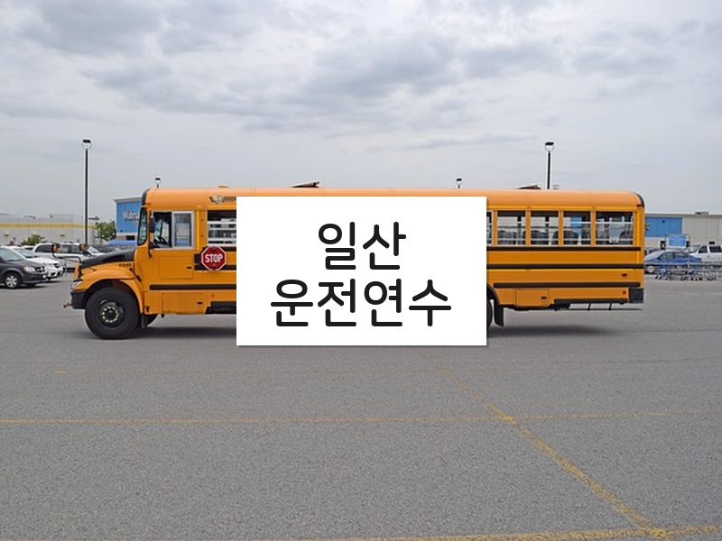 일산운전연수 후기