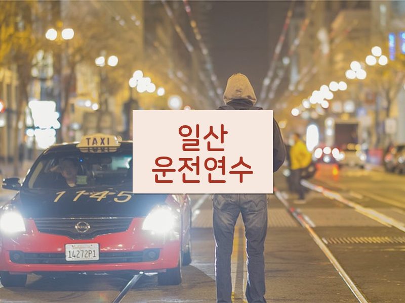 일산운전연수 후기