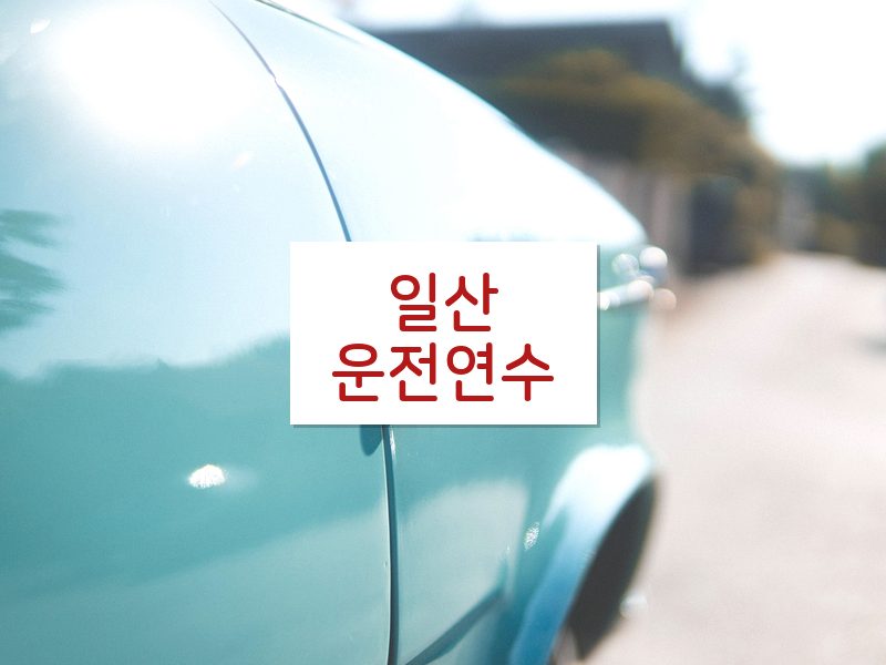 일산운전연수 후기