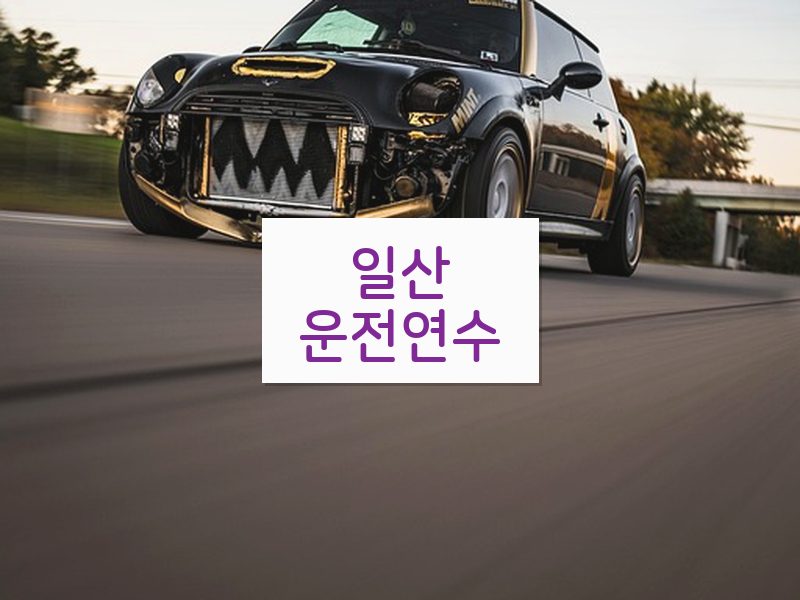 일산운전연수 후기