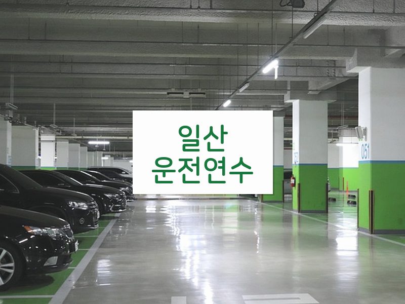 일산운전연수 후기