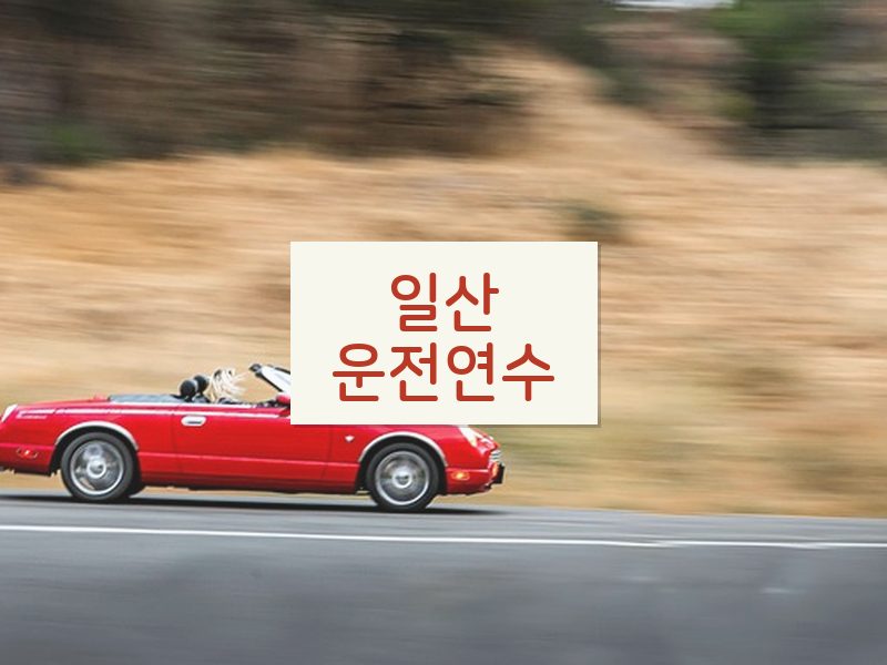 일산운전연수 후기