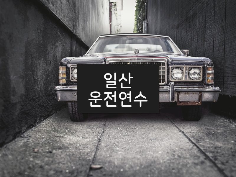 일산운전연수 후기