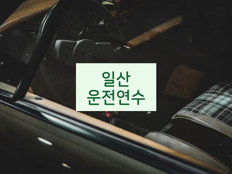 일산운전연수 후기