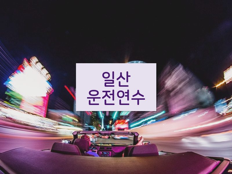일산운전연수 후기