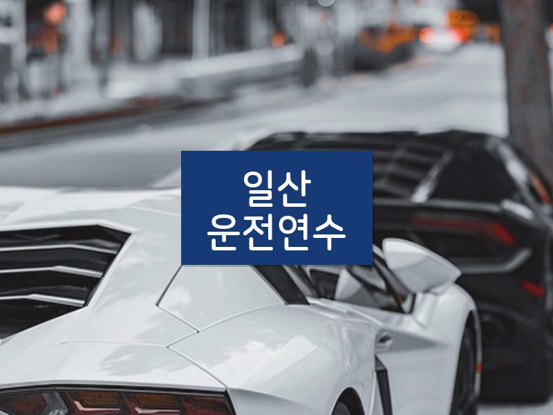 일산운전연수 후기