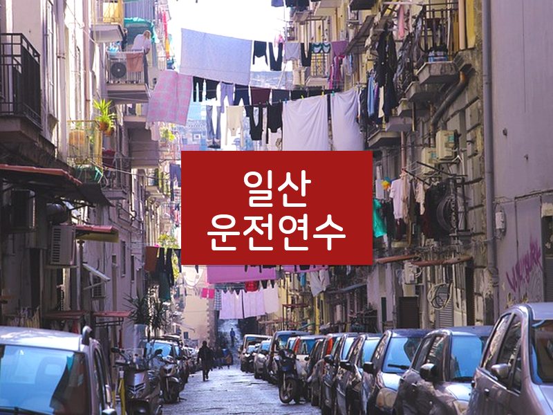일산운전연수 후기