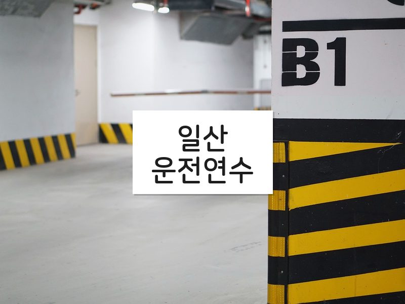 일산운전연수 후기